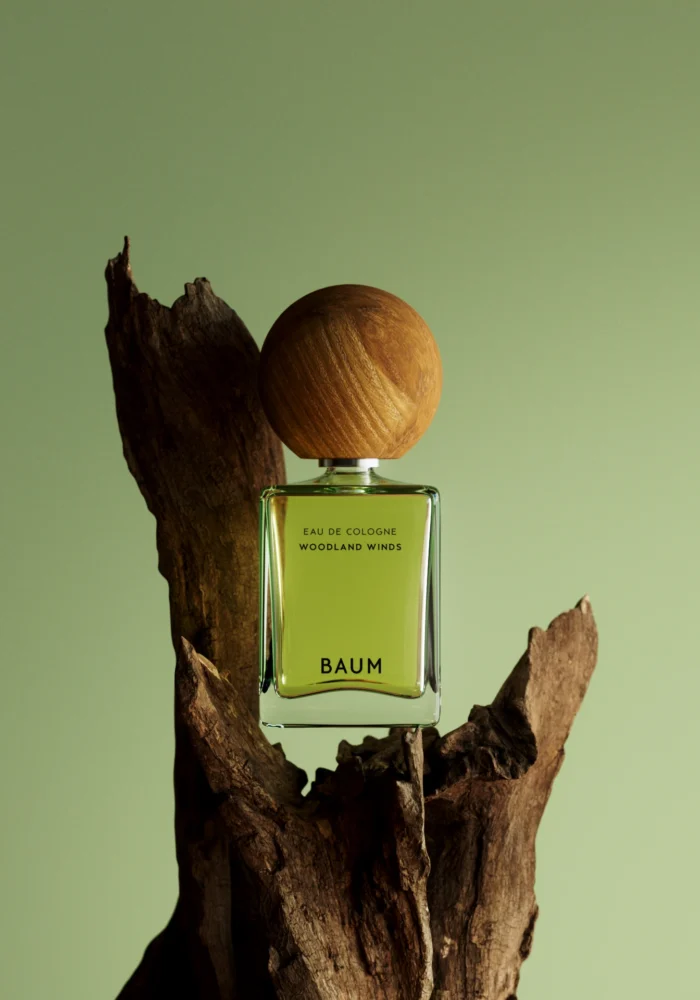 Baum_01